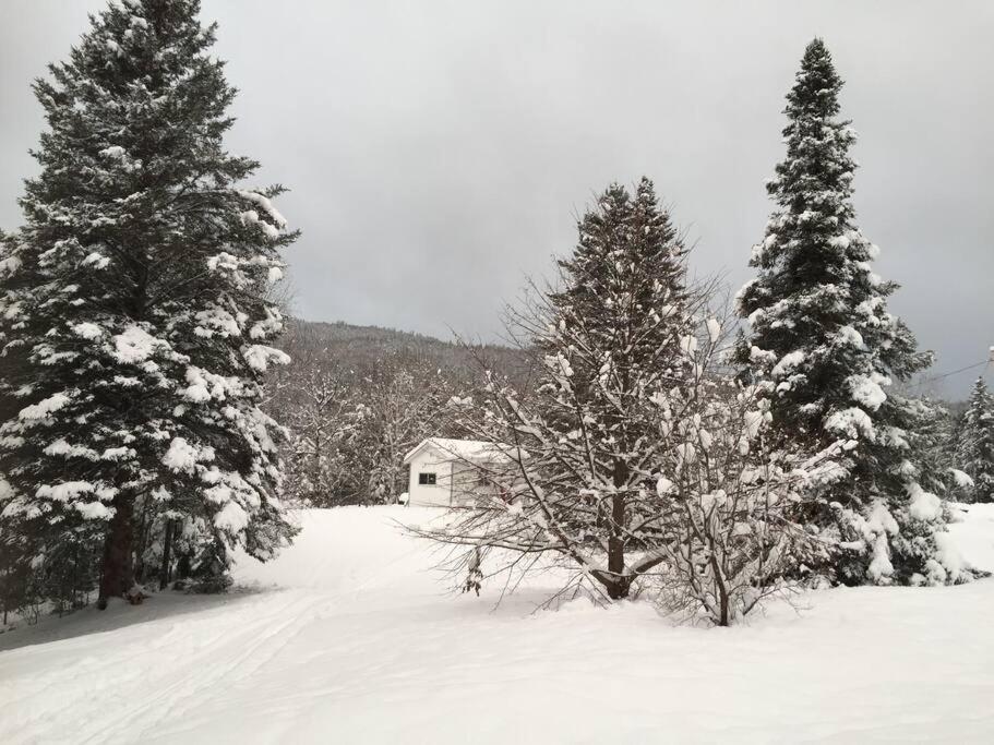 Chalet Au Bord Du St-Maurice ラ・チューク エクステリア 写真
