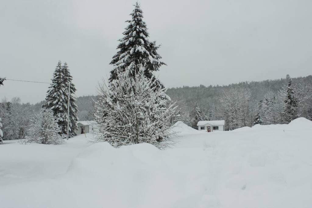 Chalet Au Bord Du St-Maurice ラ・チューク エクステリア 写真